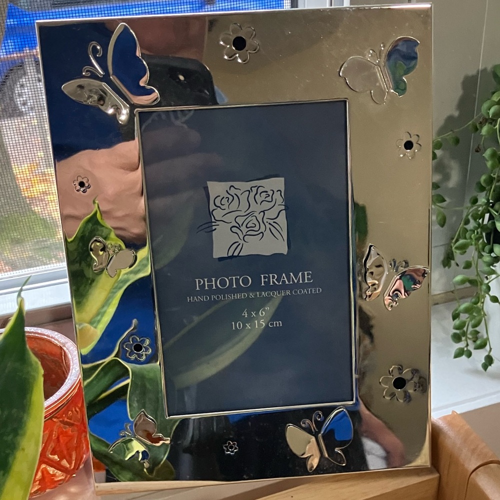 Silver Butterfly Photo Frame